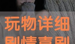 玩物 在线观看,一场视觉与心灵的奇幻之旅