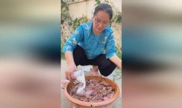 娱乐吃瓜酱一个人做饭,娱乐吃瓜酱的美食独奏曲