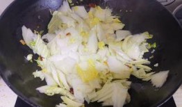 白菜吃鸡爆料视频下载,揭秘游戏幕后精彩瞬间